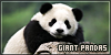 100x50 code