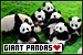 75x50 code